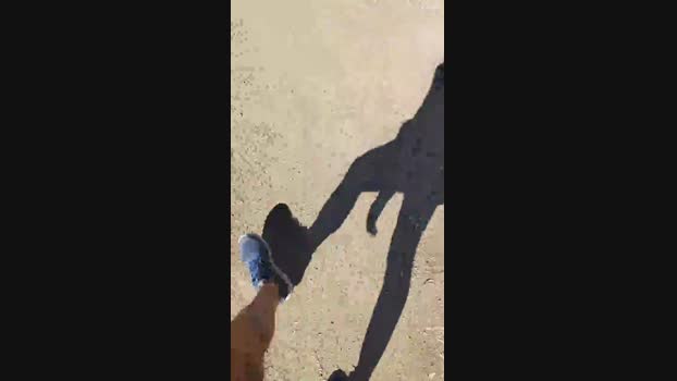 stefan519 02-06-2025 Recorded Video bicurious