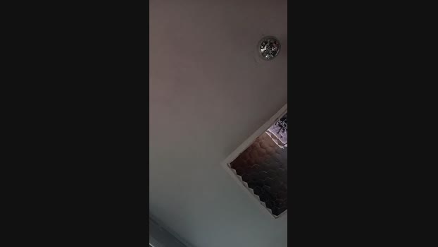 Mooooustache 02-06-2025 Recorded Video Cam