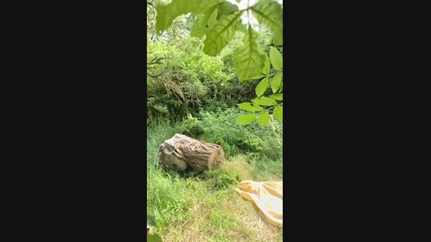pegg_cunilingus 03-06-2025 Recorded Video ass