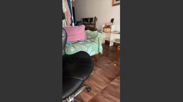gerson229 04-06-2025 Recorded Video spank