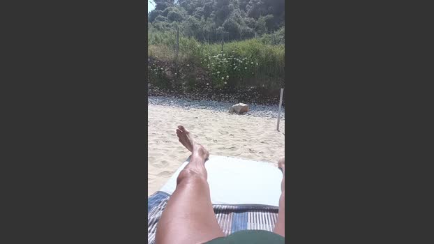 livenews1 06-06-2025 Recorded Video natural