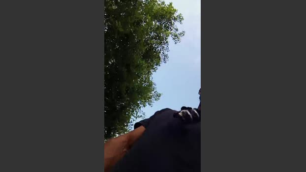 Hugo1387l 06-06-2025 Recorded Video twink