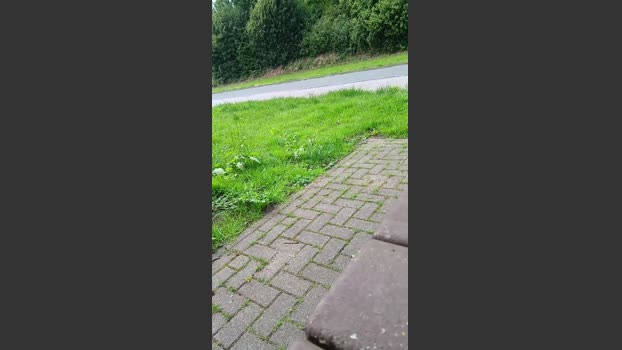 Strubi 06-06-2025 Recorded Video Topless