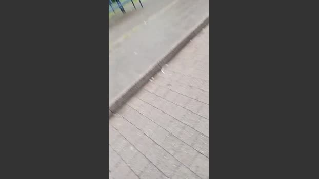 Strubi