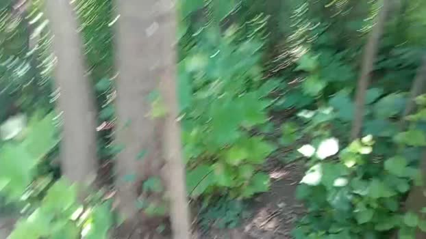 ragazzoporco83 07-06-2025 Recorded Video lush