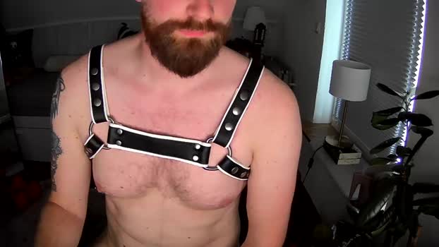 redbearded 07-06-2025 Recorded Video jerkoff