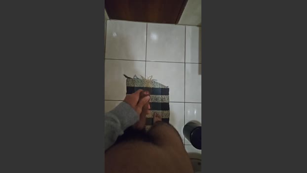 Pedrinhodot19cm 08-06-2025 Recorded Video big