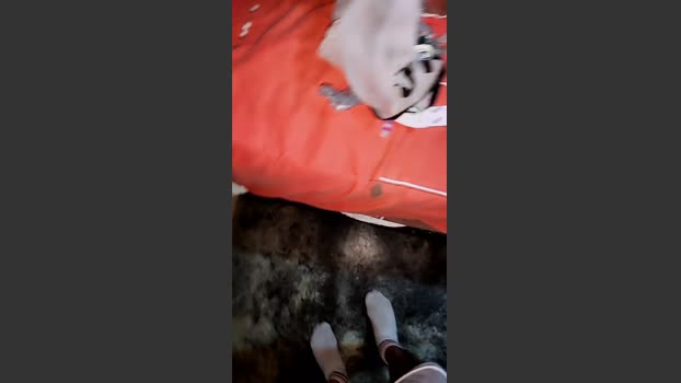 Papiyoungpig 11-06-2025 Recorded Video hardcore