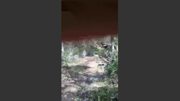abcd34 11-06-2025 Recorded Video handsome