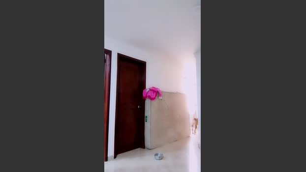 jhony_the_king 10-06-2025 Recorded Video bicurious