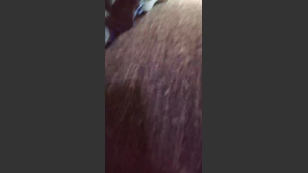 roncoratonm2 11-06-2025 Recorded Video moan