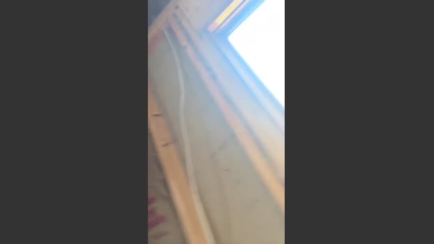 vaginaslayer68 10-06-2025 Recorded Video natural