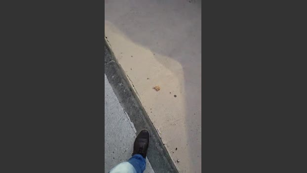 tomsauwer 14-06-2025 Recorded Video sweet