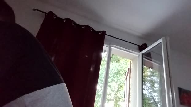 Ribeiro33240 15-06-2025 Recorded Video bigtoys