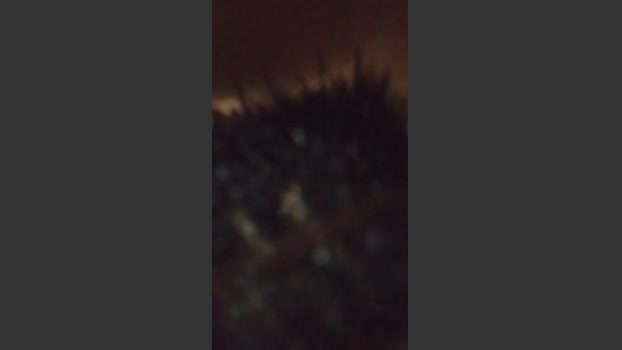 pedro6290 16-06-2025 Recorded Video analtoy
