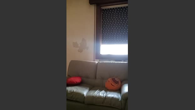 ragazzoporco83 16-06-2025 Recorded Video Cam