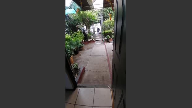 roncoratonm2 16-06-2025 Recorded Video Show