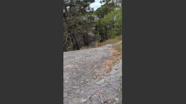 fuje 20-06-2025 Recorded Video Video