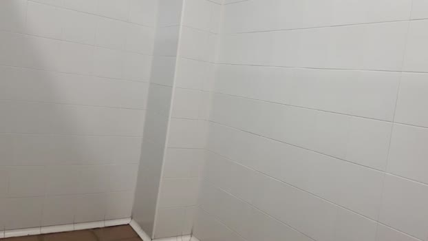 manuelmp87 20-06-2025 Recorded Video fuckass