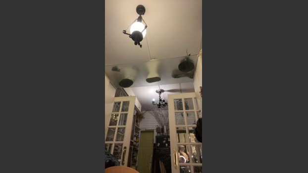 pedro5946 20-06-2025 Recorded Video jerkoff