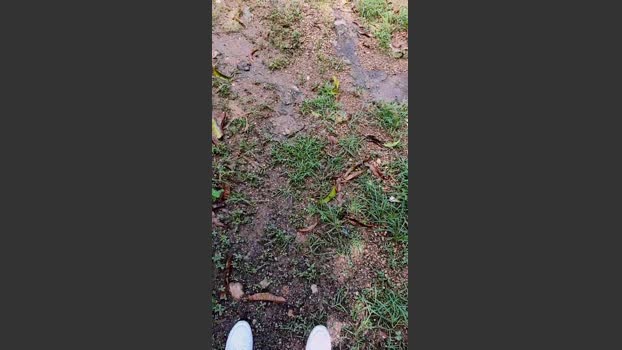 Papiyoungpig 21-06-2025 Recorded Video hard