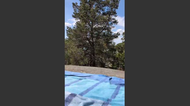 fuje 22-06-2025 Recorded Video Download