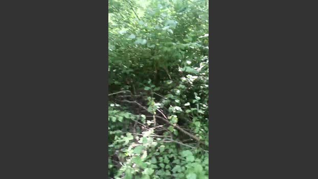 fulibal 22-06-2025 Recorded Video suck