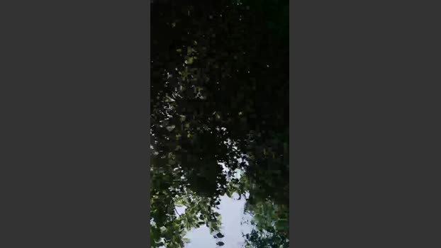 fulibal 22-06-2025 Recorded Video blowjob