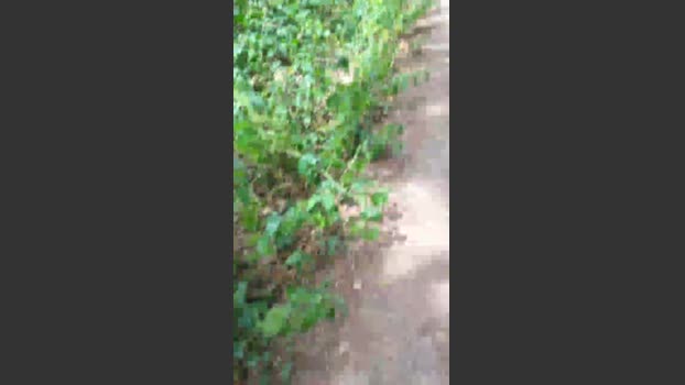 kinkycouple4mo4 22-06-2025 Recorded Video gag
