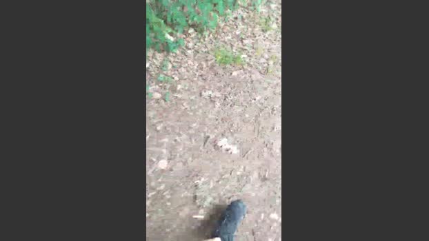 kinkycouple4mo4 22-06-2025 Recorded Video cute