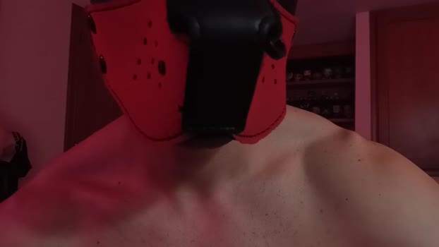 Frabroker 23-06-2025 Recorded Video oral