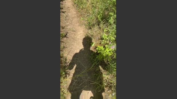 GeilerSack65 24-06-2025 Recorded Video play