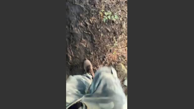 Zorro2024 23-06-2025 Recorded Video big