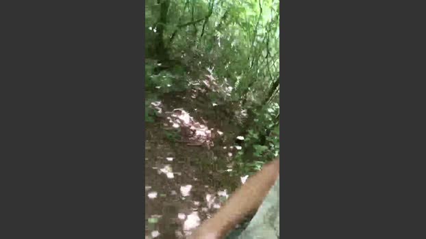 fulibal 24-06-2025 Recorded Video toy