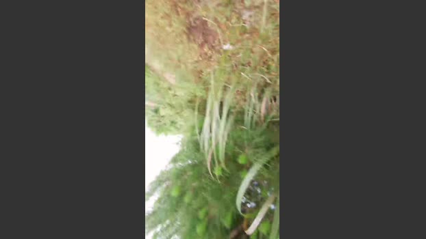 lx_30 24-06-2025 Recorded Video fuck