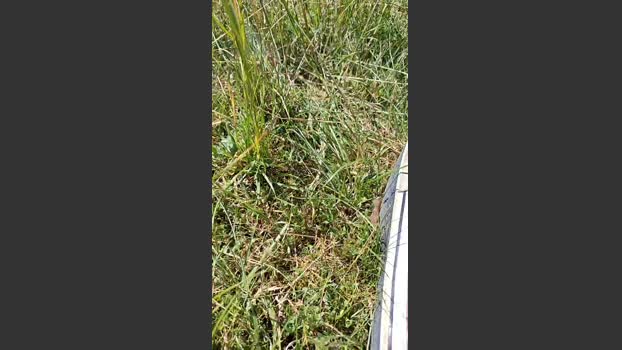riki_alb 24-06-2025 Recorded Video fuckme