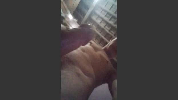 Sharkbird 25-06-2025 Recorded Video handsome