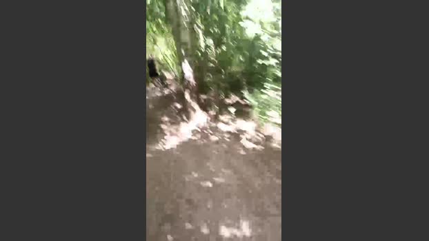 fulibal 25-06-2025 Recorded Video jerking