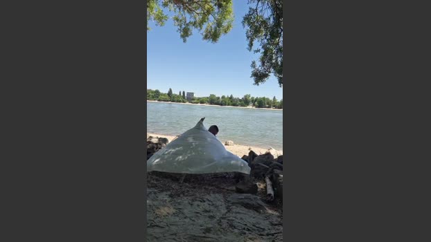 viraglaci18 25-06-2025 Recorded Video big