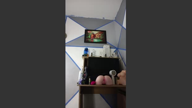 Davidpervert 27-06-2025 Recorded Video horny