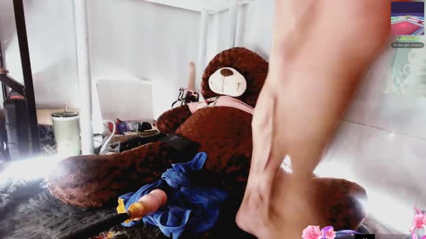 Hwanghonghae 27-06-2025 Recorded Video toys
