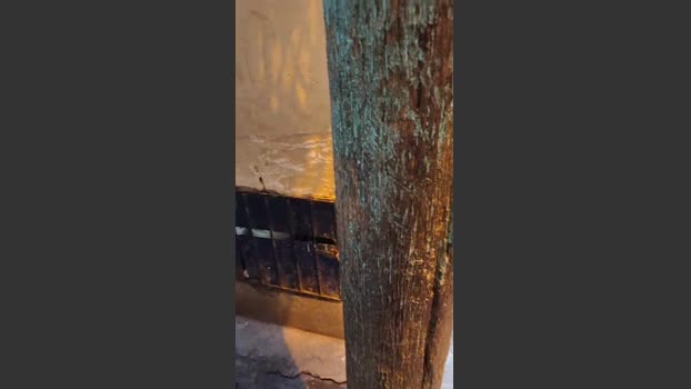 Safadodfavela 28-06-2025 Recorded Video naked
