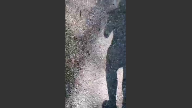 stefan519 28-06-2025 Recorded Video hardcore