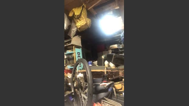 thompson3 28-06-2025 Recorded Video prettyface