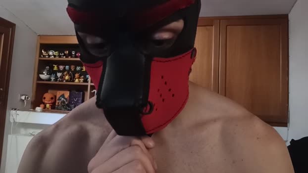 Frabroker 29-06-2025 Recorded Video bigtoys