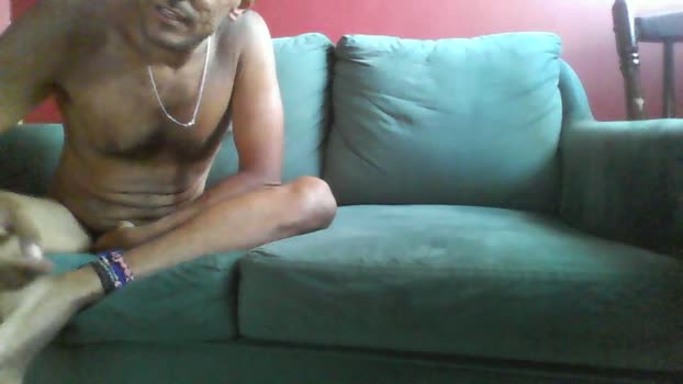 Gato_Chaquetero 29-06-2025 Recorded Video oral