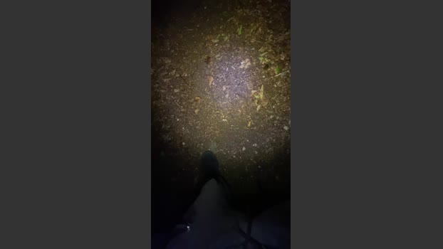 Outandabout 28-06-2025 Recorded Video bigballs