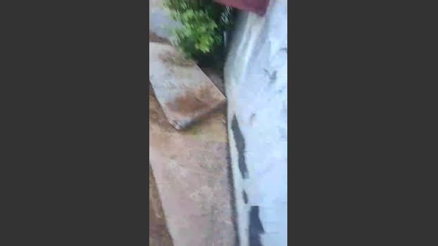 Uberleitadorcps 29-06-2025 Recorded Video orgasm