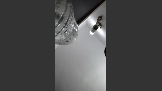 Raysen92 29-06-2025 Recorded Video hard