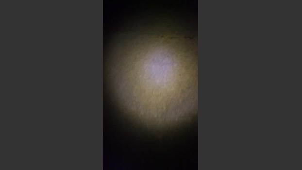 Outandabout 01-07-2025 Recorded Video bigtoys